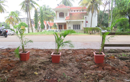 Swacchata Abhiyan